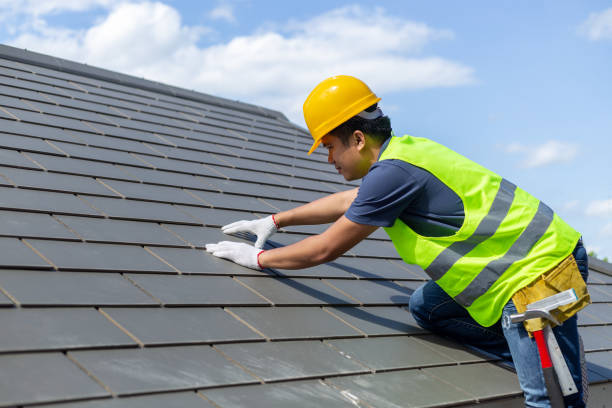 Best Shingle Roofing Installation  in Warren, IL
