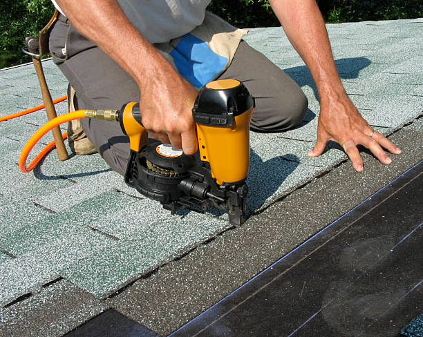 Best Metal Roofing Contractor  in Warren, IL