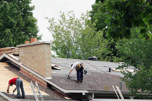 Best Roof Maintenance Services  in Warren, IL