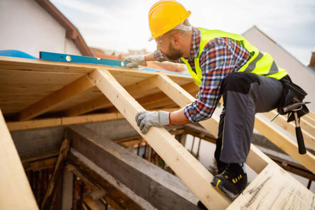 Best Flat Roof Repair Services  in Warren, IL