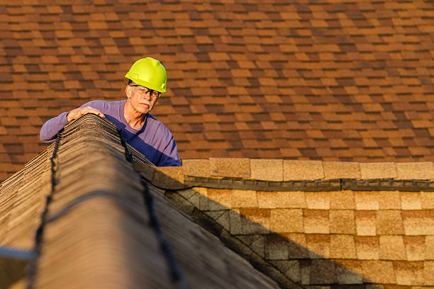 Best Residential Roofing Contractor  in Warren, IL