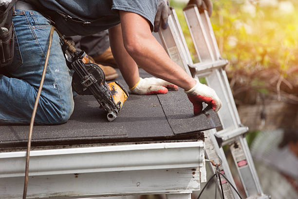 Professional Roofing Contractor in Warren, IL