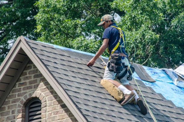 Best Roof Gutter Cleaning  in Warren, IL